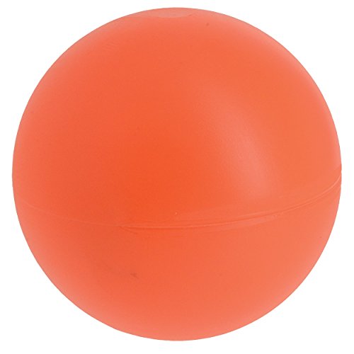 Virtually Indestructible (Hard) Best Ball for Dogs